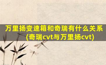 万里扬变速箱和奇瑞有什么关系(奇瑞cvt与万里扬cvt)-图1