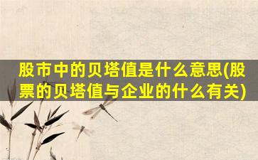 股市中的贝塔值是什么意思(股票的贝塔值与企业的什么有关)-图1