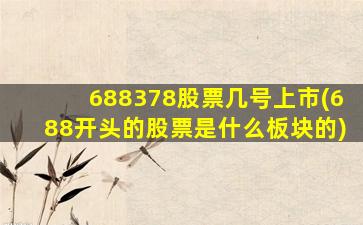688378股票几号上市(688开头的股票是什么板块的)-图1