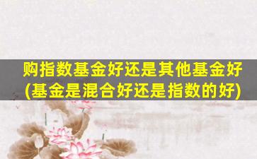 购指数基金好还是其他基金好(基金是混合好还是指数的好)-图1