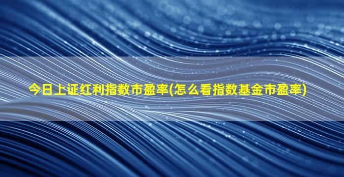 今日上证红利指数市盈率(怎么看指数基金市盈率)-图1