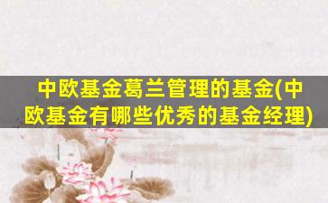 中欧基金葛兰管理的基金(中欧基金有哪些优秀的基金经理)-图1