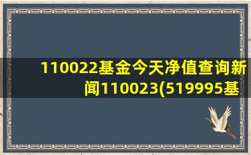 110022基金今天净值查询新闻110023(519995基金今天净值)-图1