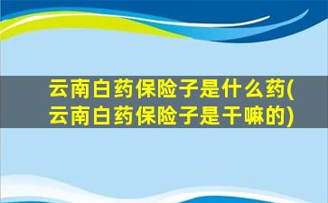 云南白药保险子是什么药(云南白药保险子是干嘛的)-图1