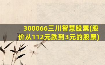 300066三川智慧股票(股价从112元跌到3元的股票)-图1