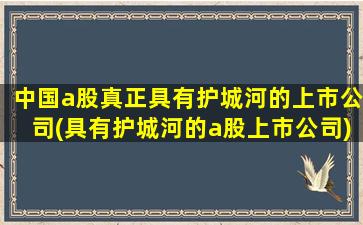 中国a股真正具有护城河的上市公司(具有护城河的a股上市公司)-图1