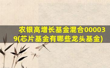 农银高增长基金混合000039(芯片基金有哪些龙头基金)-图1
