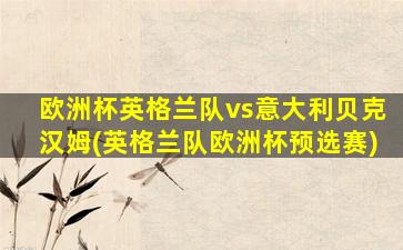 欧洲杯英格兰队vs意大利贝克汉姆(英格兰队欧洲杯预选赛)-图1