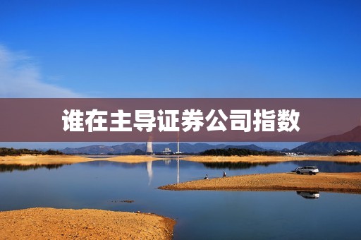 谁在主导证券公司指数？ 资讯